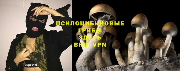 спайс Надым